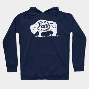 Motivation Quotes-we walk by Faith not by sight Hoodie